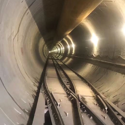 TBM隧洞专用道岔
